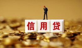 成都6哪有个人借贷-成都6小额贷款公司-成都6私借空放免费上门